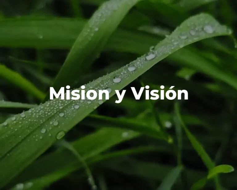 Mision y Visión