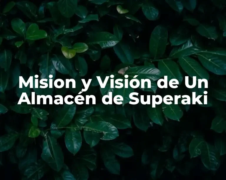 Mision y Visión de Un Almacén de Superaki