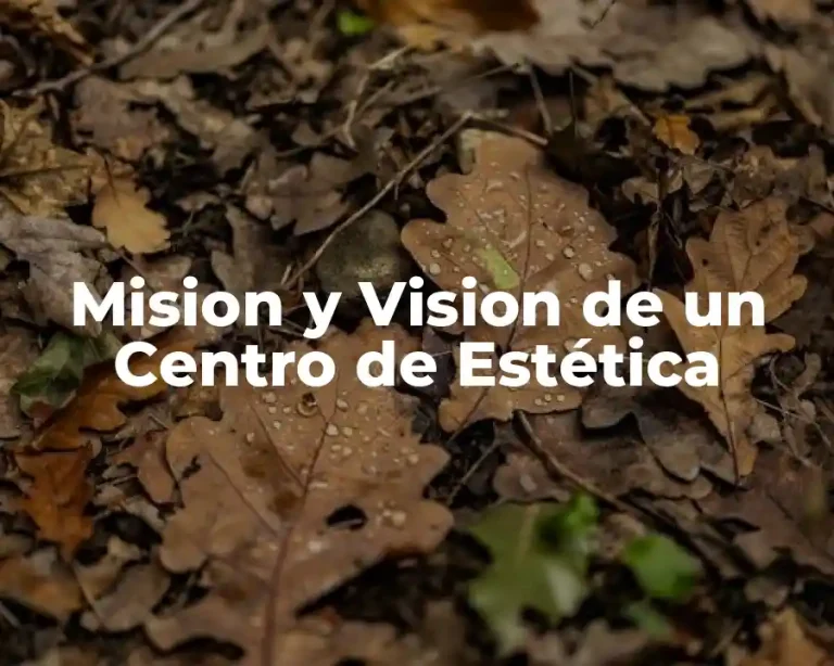 Mision y Vision de un Centro de Estética