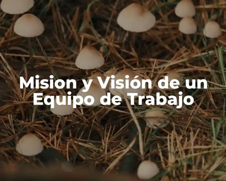 Mision y Visión de un Equipo de Trabajo