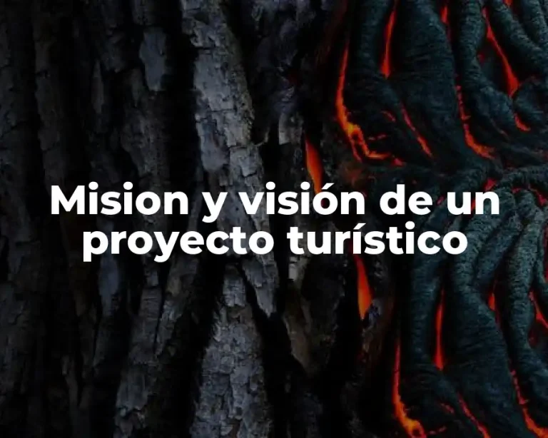 Mision y visión de un proyecto turístico