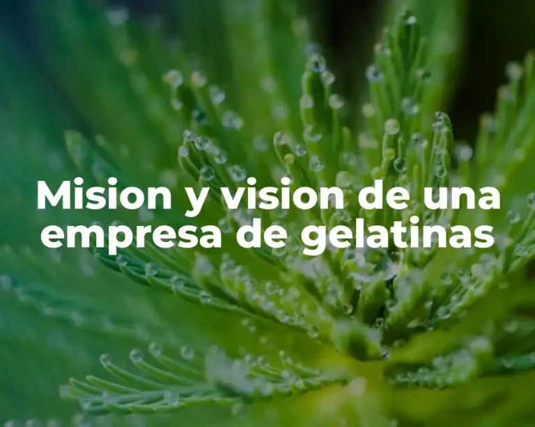 Mision y vision de una empresa de gelatinas