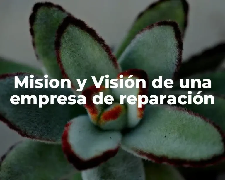 Mision y Visión de una empresa de reparación