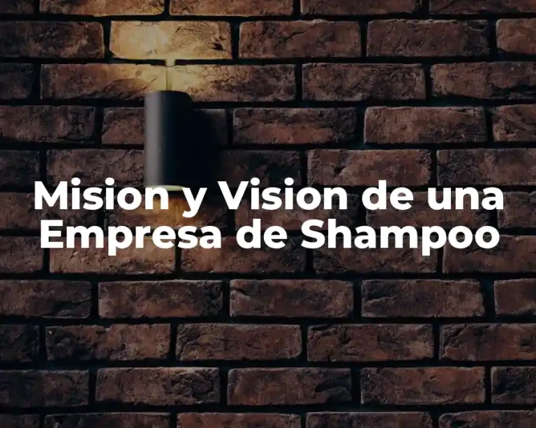 Mision y Vision de una Empresa de Shampoo