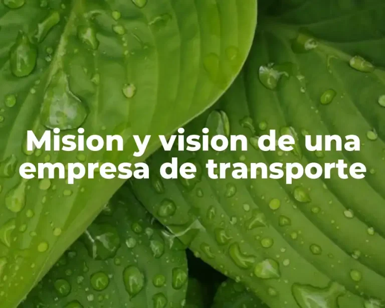 Mision y vision de una empresa de transporte