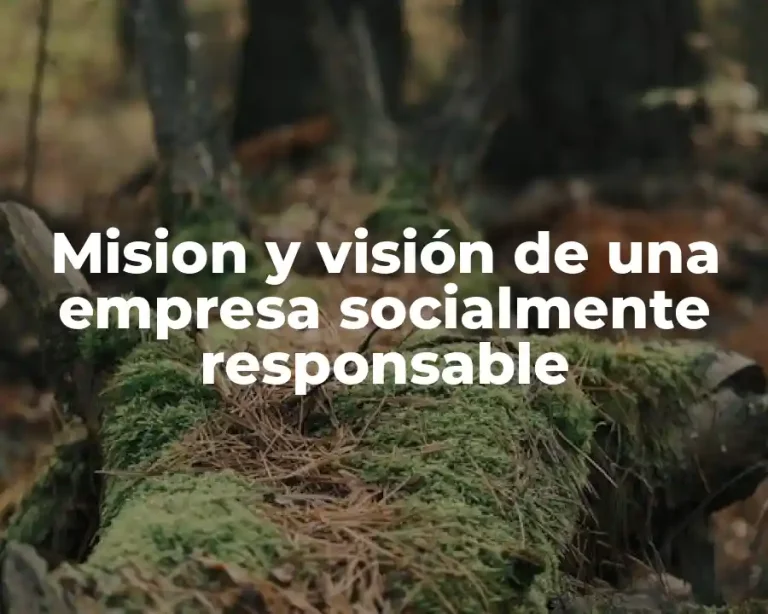 Mision y visión de una empresa socialmente responsable