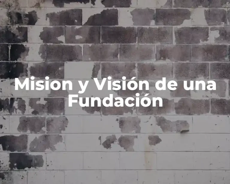 Mision y Visión de una Fundación