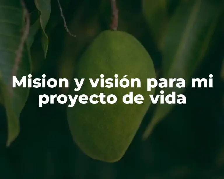 Mision y visión para mi proyecto de vida