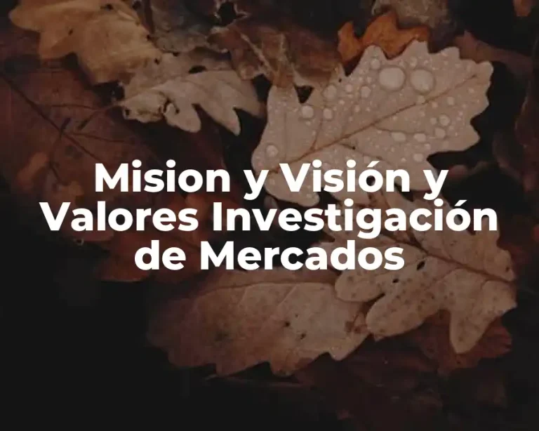 Mision y Visión y Valores Investigación de Mercados