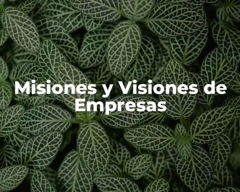 Misiones y Visiones de Empresas