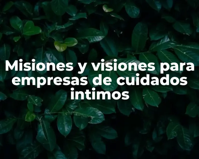 Misiones y visiones para empresas de cuidados intimos