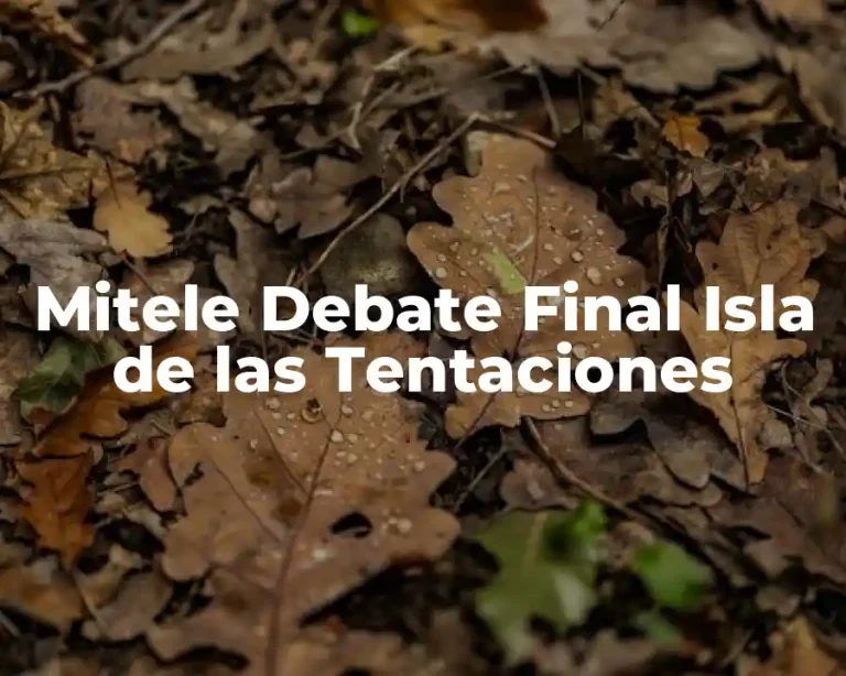 Mitele Debate Final Isla de las Tentaciones