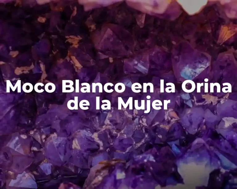 Moco Blanco en la Orina de la Mujer