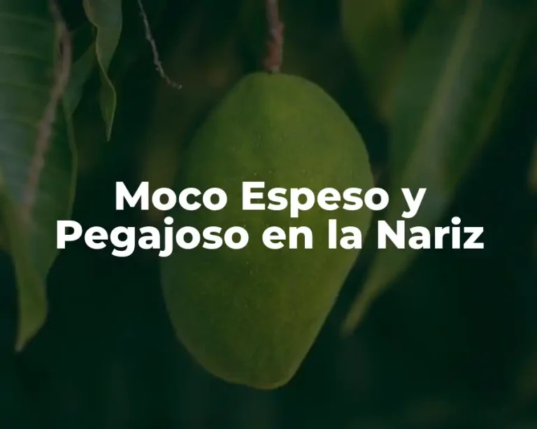 Moco Espeso y Pegajoso en la Nariz