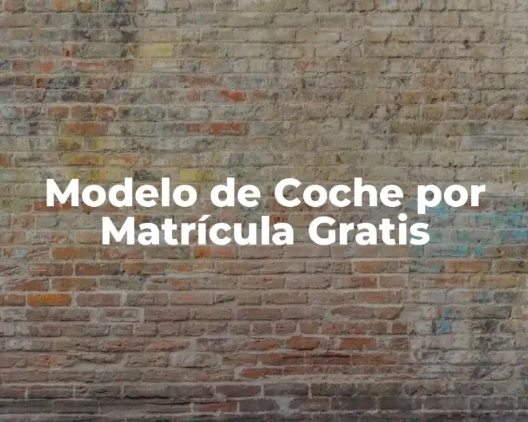 Modelo de Coche por Matrícula Gratis