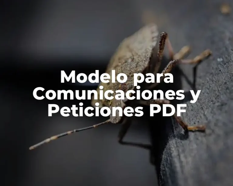 Modelo para Comunicaciones y Peticiones PDF