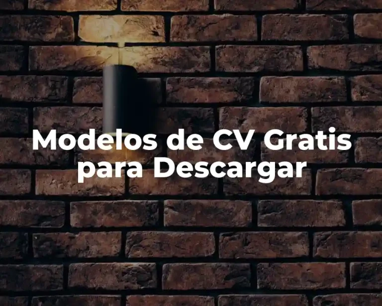 Modelos de CV Gratis para Descargar