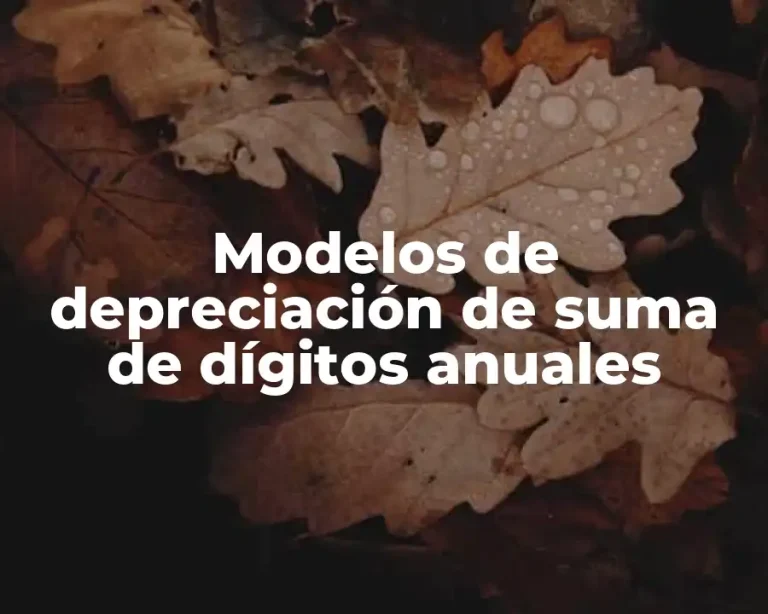 Modelos de depreciación de suma de dígitos anuales