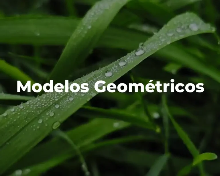 Modelos Geométricos