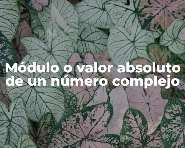 Módulo o valor absoluto de un número complejo