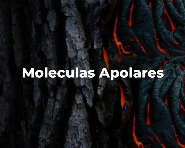 Moleculas Apolares