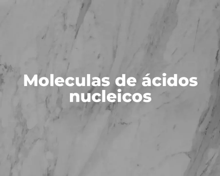 Moleculas de ácidos nucleicos