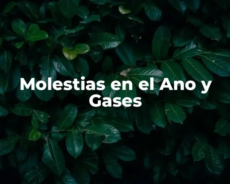 Molestias en el Ano y Gases