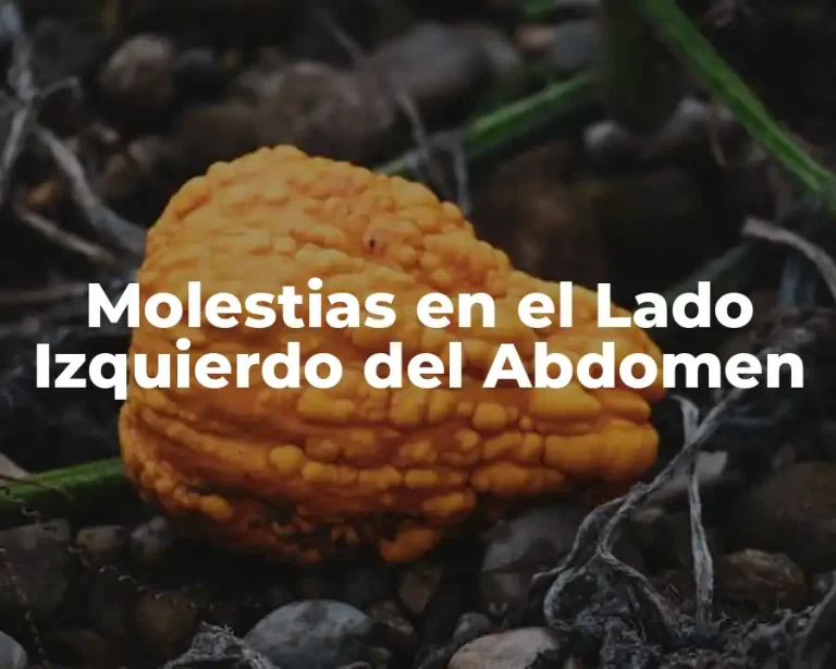 Molestias en el Lado Izquierdo del Abdomen