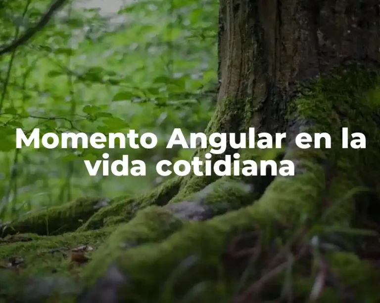 Momento Angular en la vida cotidiana