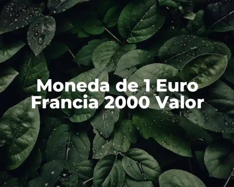 Moneda de 1 Euro Francia 2000 Valor
