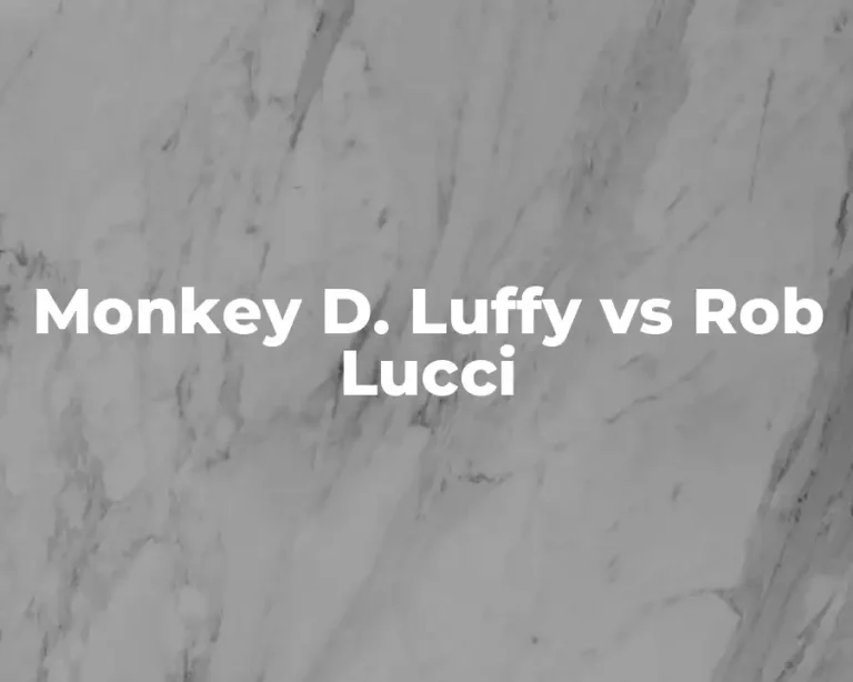 Monkey D. Luffy vs Rob Lucci