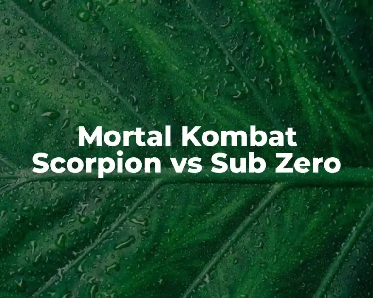 Mortal Kombat Scorpion vs Sub Zero
