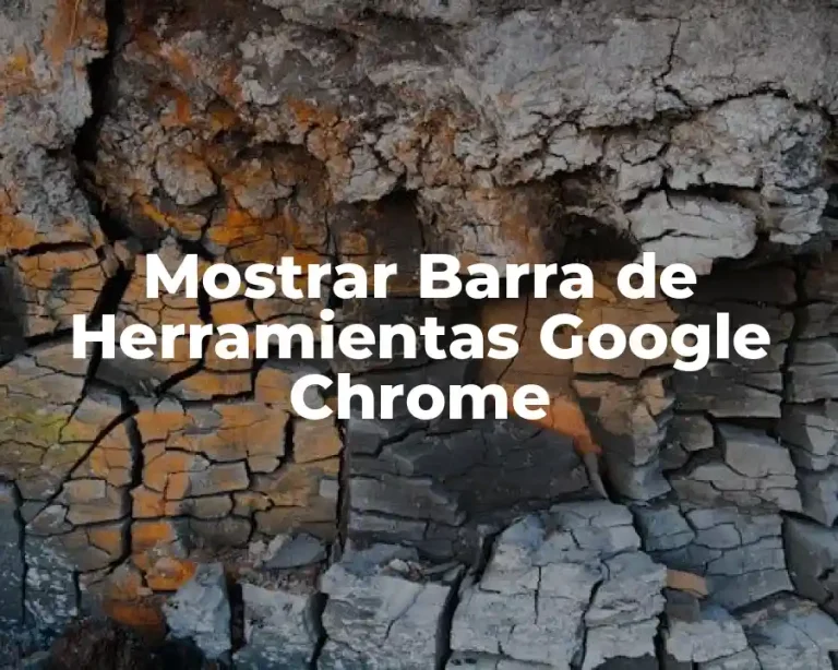 Mostrar Barra de Herramientas Google Chrome