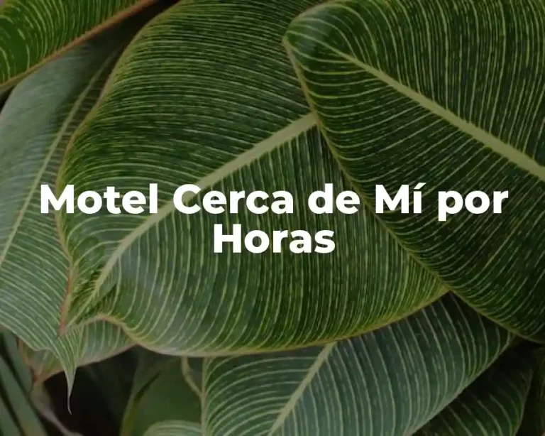Motel Cerca de Mí por Horas