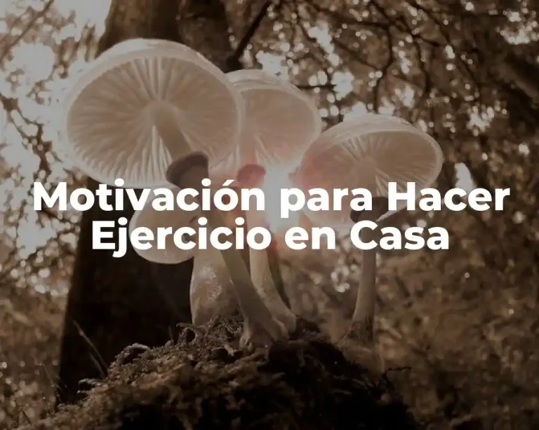 Motivación para Hacer Ejercicio en Casa