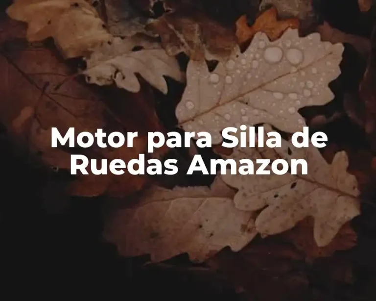 Motor para Silla de Ruedas Amazon