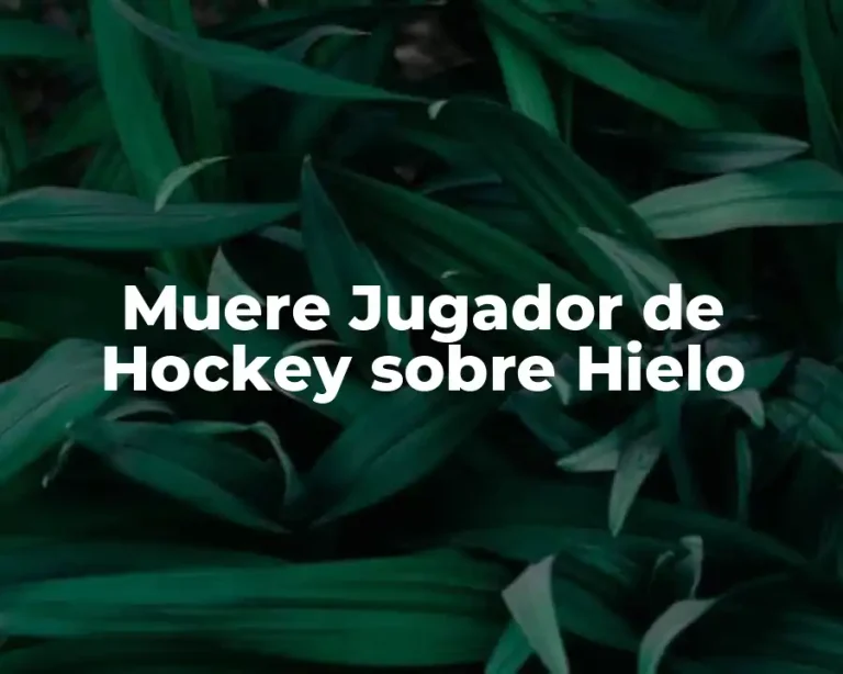 Muere Jugador de Hockey sobre Hielo