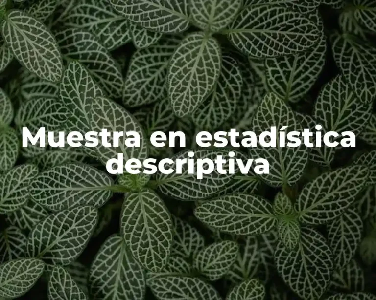 Muestra en estadística descriptiva