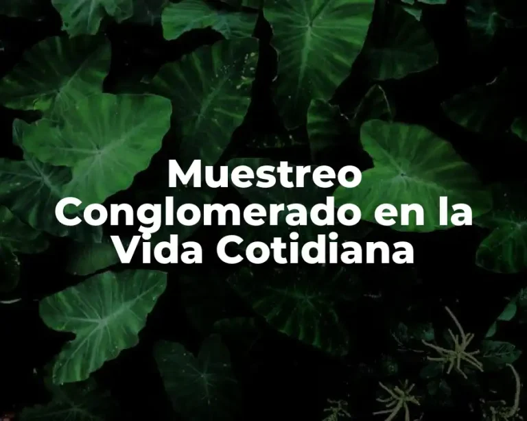 Muestreo Conglomerado en la Vida Cotidiana