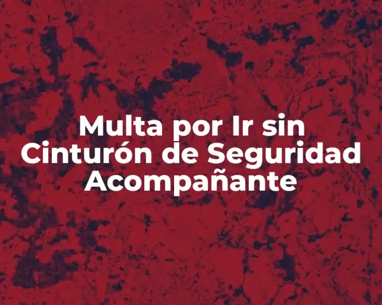 Multa por Ir sin Cinturón de Seguridad Acompañante