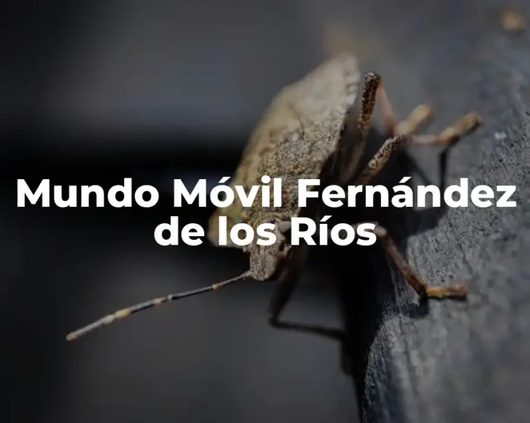 Mundo Móvil Fernández de los Ríos
