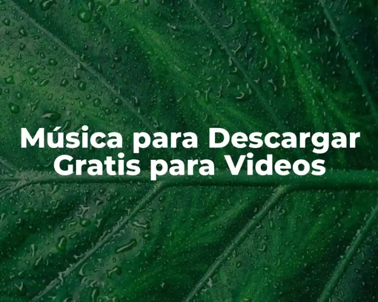 Música para Descargar Gratis para Videos