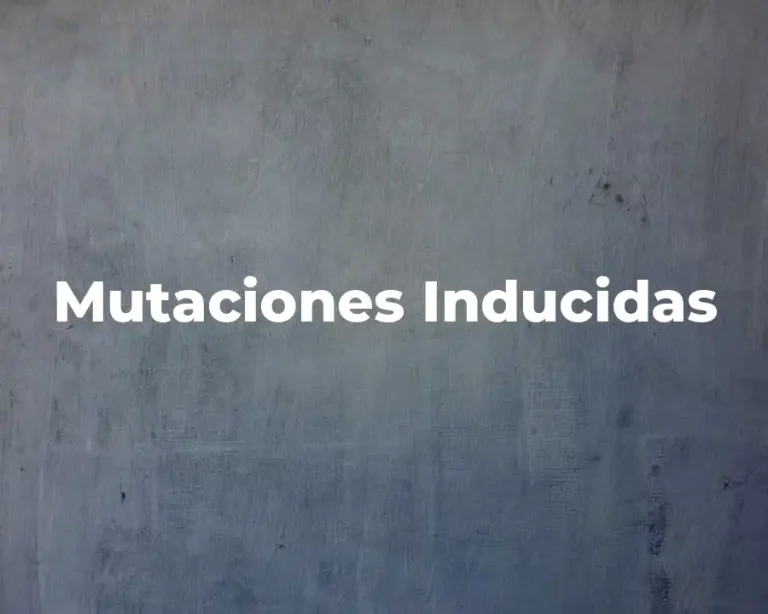 Mutaciones Inducidas