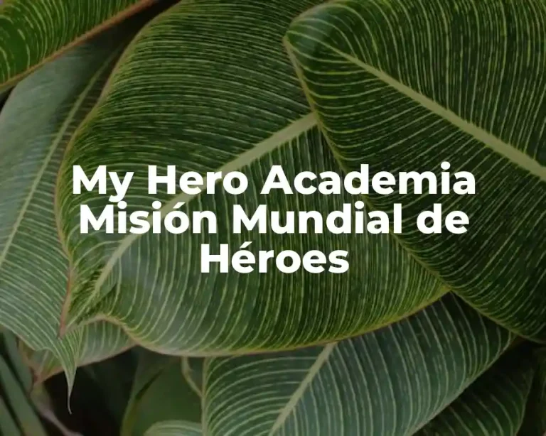 My Hero Academia Misión Mundial de Héroes