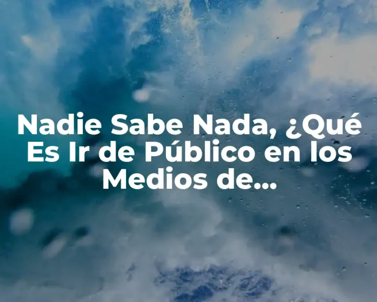 Nadie Sabe Nada, ¿Qué Es Ir de Público en los Medios de Comunicación?