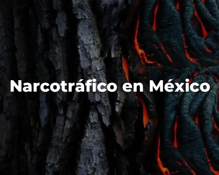 Narcotráfico en México