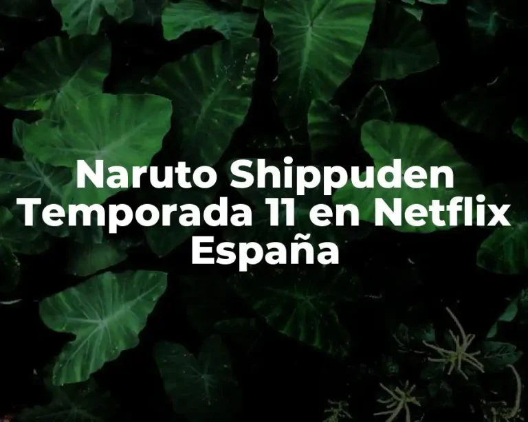 Naruto Shippuden Temporada 11 en Netflix España