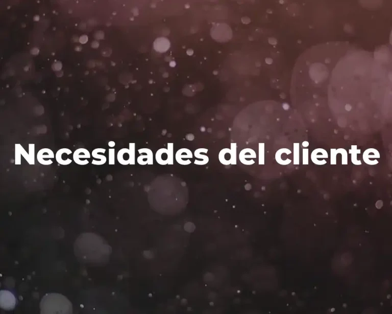 Necesidades del cliente