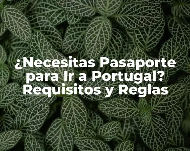 ¿Necesitas Pasaporte para Ir a Portugal? Requisitos y Reglas