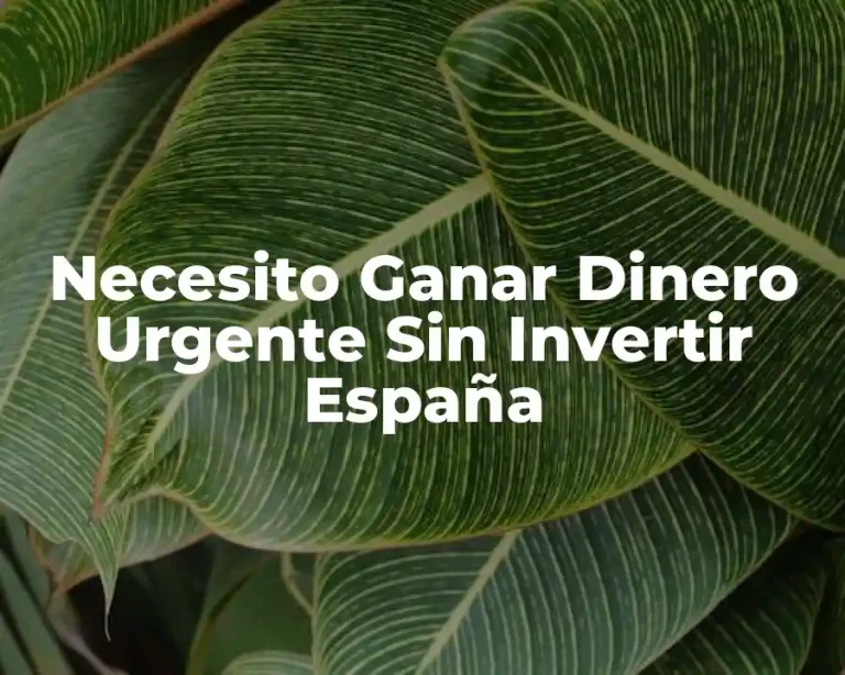 Necesito Ganar Dinero Urgente Sin Invertir España
